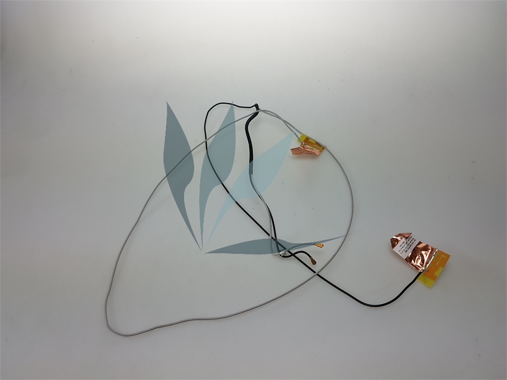 Antenne wifi pour HP g7-2249sf