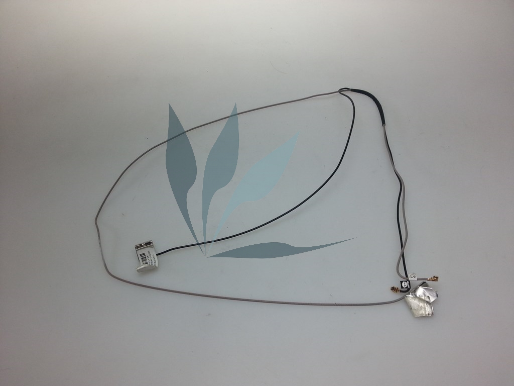 Antenne wifi pour HP pavilion DM1-4 