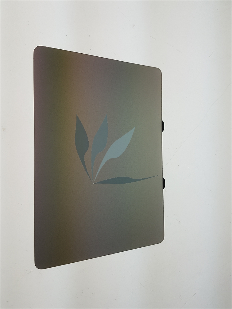 Touchpad gris pour Apple MacBook pour Apple Macbook Pro