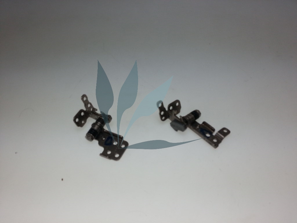 Kit charnières pour DELL Inspiron 1764