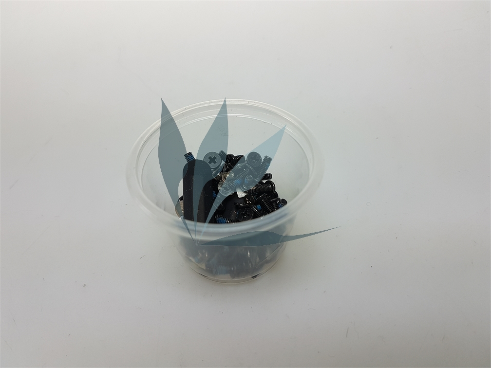 Kit visserie pour Asus N53SV