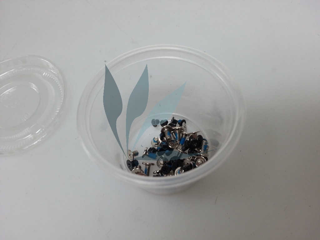 Kit Vis pour DELL XPS L322X