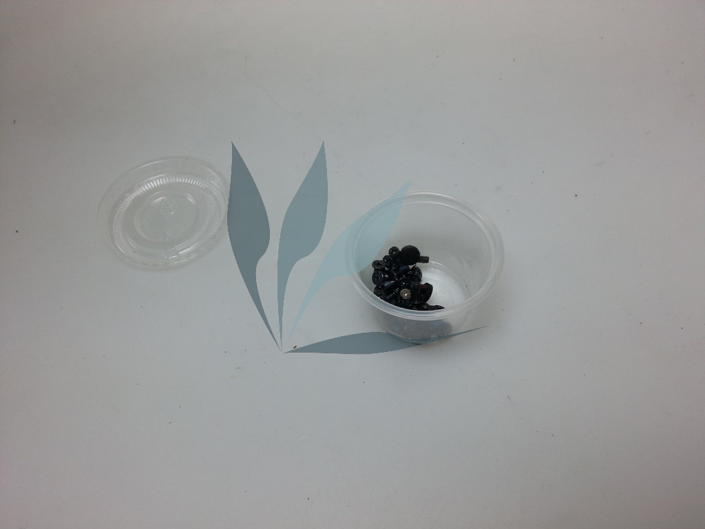 Kit visserie pour Toshiba Satellite L300