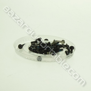 Kit visserie pour Toshiba Satellite A110