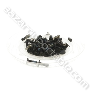 Kit visserie pour Toshiba Satellite A500