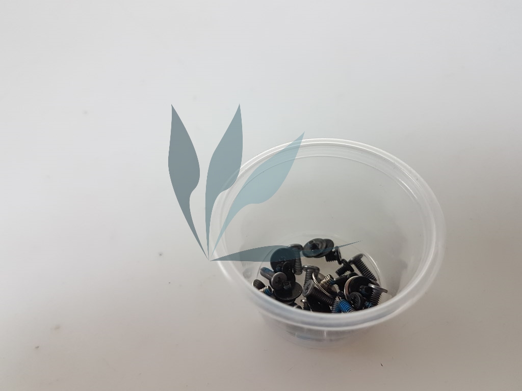 Kit vis pour DELL Inspiron 13