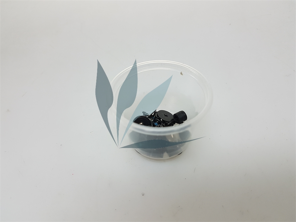 Kit vis pour DELL Inspiron 14-z5423