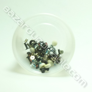 Kit visserie pour HP pavilion DV6500