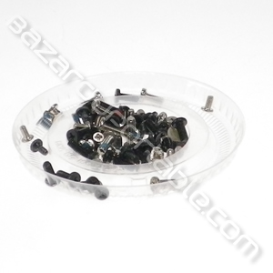 Kit de visserie pour Fujitsu-Siemens Amilo Pro V3505
