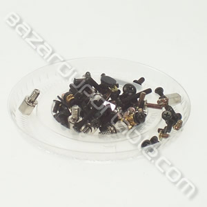 Kit de visserie pour Sony Vaio PCG-FX105K