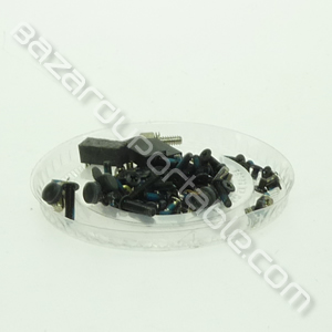 Kit visserie pour IBM Thinkpad SL500