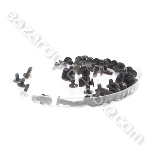 Kit visserie pour IBM Thinkpad SL510