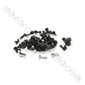 Kit de visserie pour Toshiba Satellite L350
