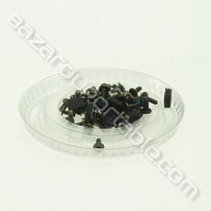 Kit de visserie pour Toshiba Satellite L40