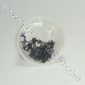 Kit de visserie pour Toshiba Satellite L555