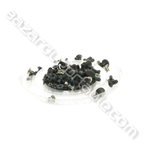 Kit visserie pour MSI Notebook MS-1719 GX701