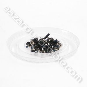 Kit visserie pour Samsung N310
