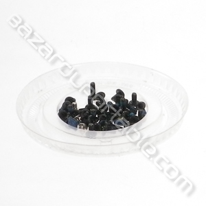 Kit visserie pour Samsung NC10 10.1 pouces
