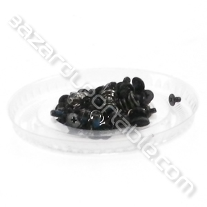 Kit de vis pour Packard-Bell Easynote LJ65