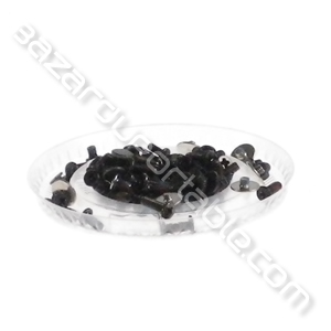 Kit de visserie pour Toshiba Qosmio X500