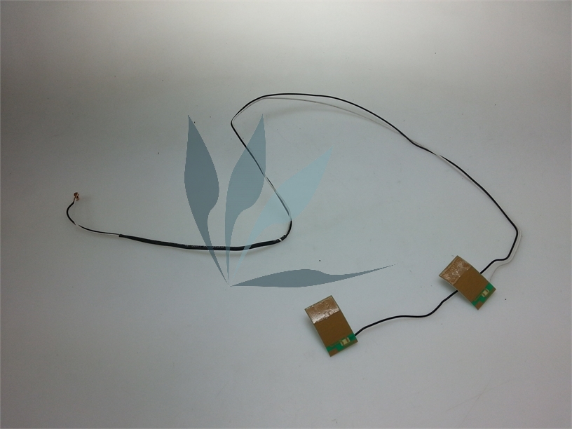 Câble antenne (avec sa rallonge) carte tunner Toshiba Qosmio G50-132