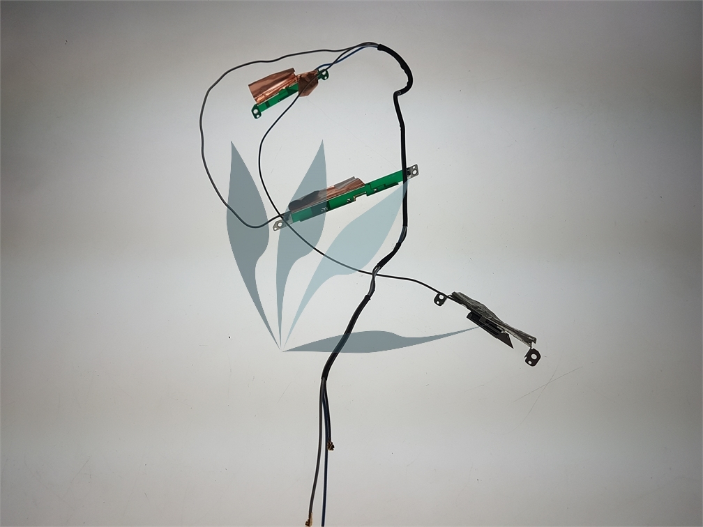 Antenne wifi pour Dell Studio 1555