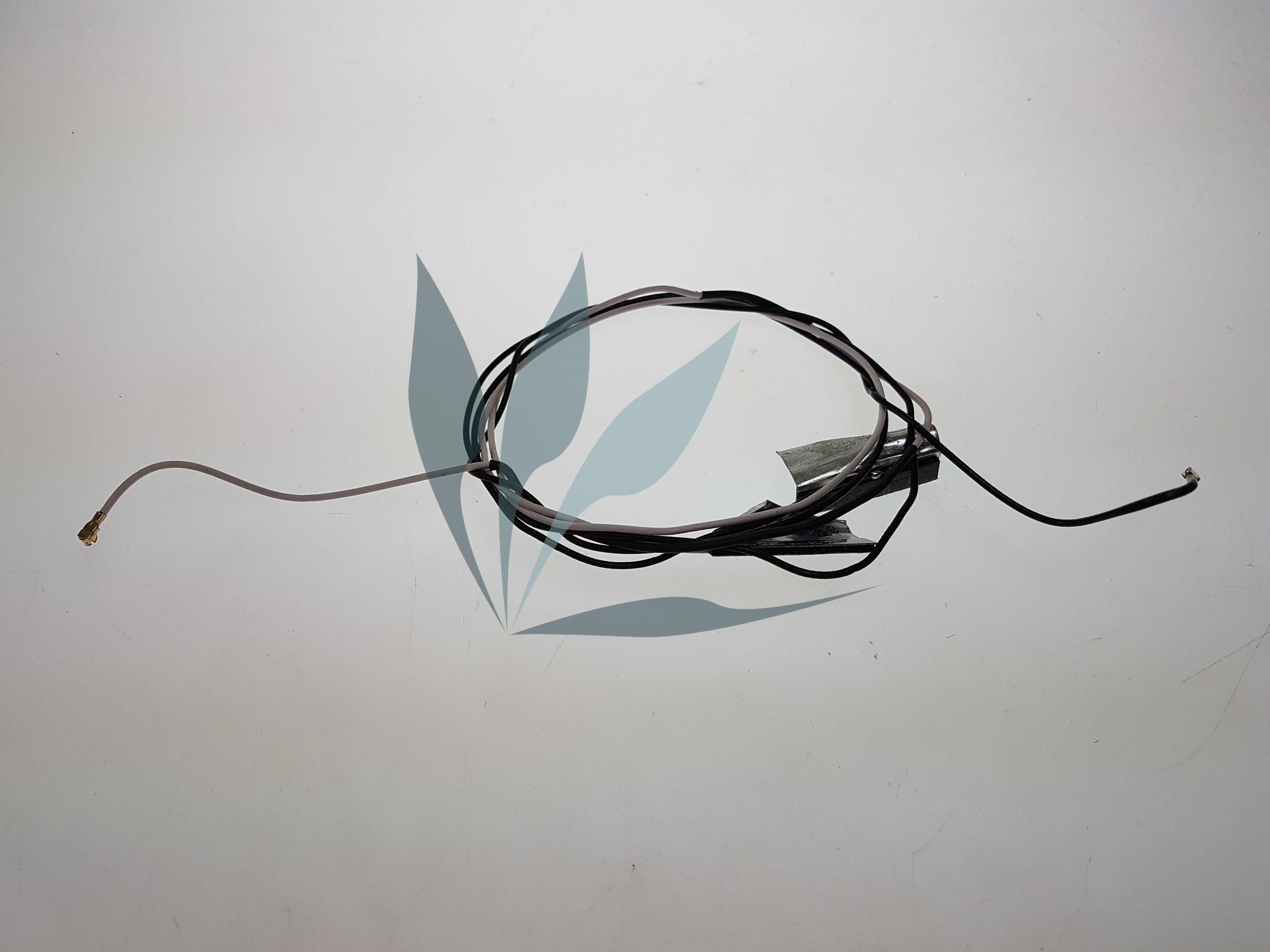 Antenne wifi pour DELL Inspiron 3520