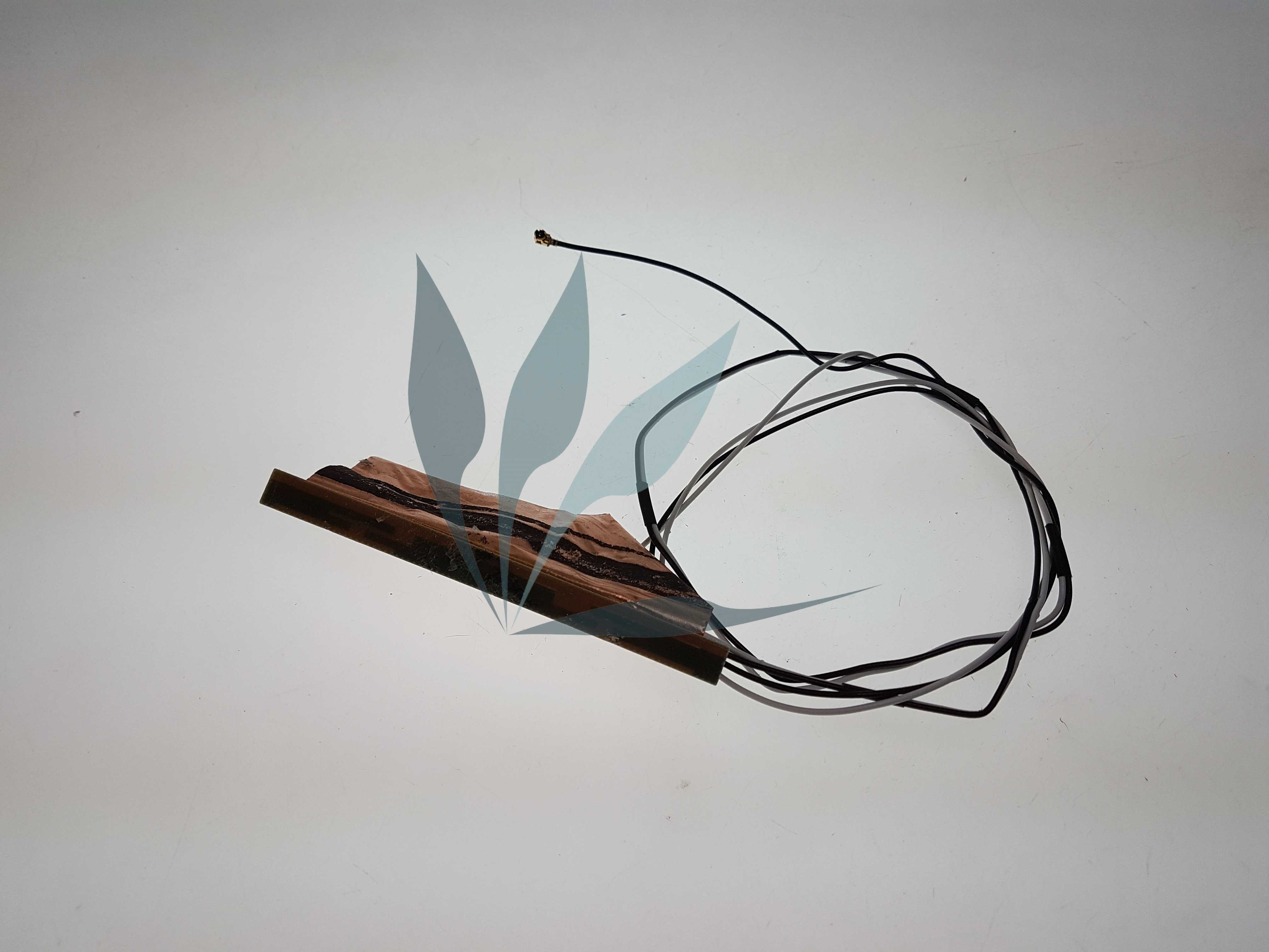Antenne wifi pour Asus X550LDV
