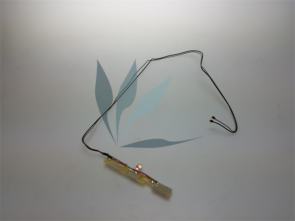 Antenne wifi pour MSI GE60