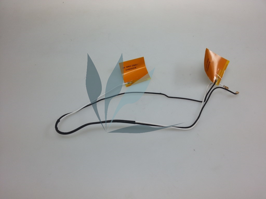 Antenne wifi pour Emachine NAV51
