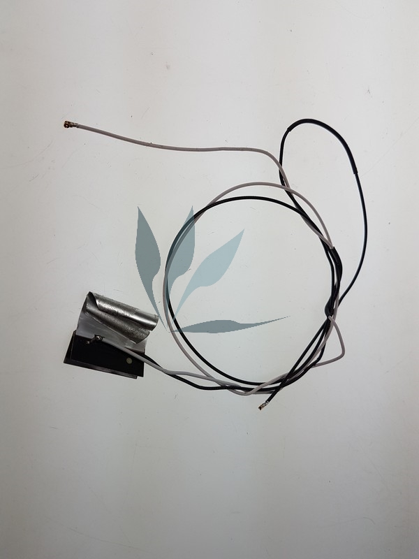 Antenne wifi pour Toshiba Satellite C50D-B