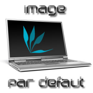 Mémoire PC3-8500-1GB