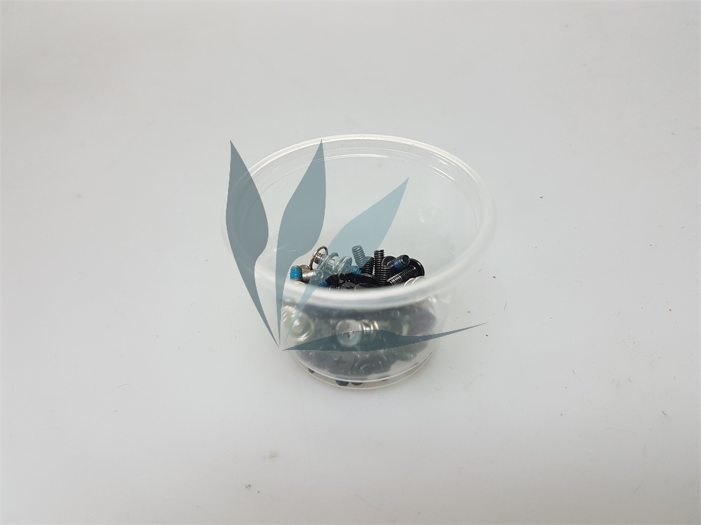 Kit de vis pour Packard-Bell Easynote TK11BZ