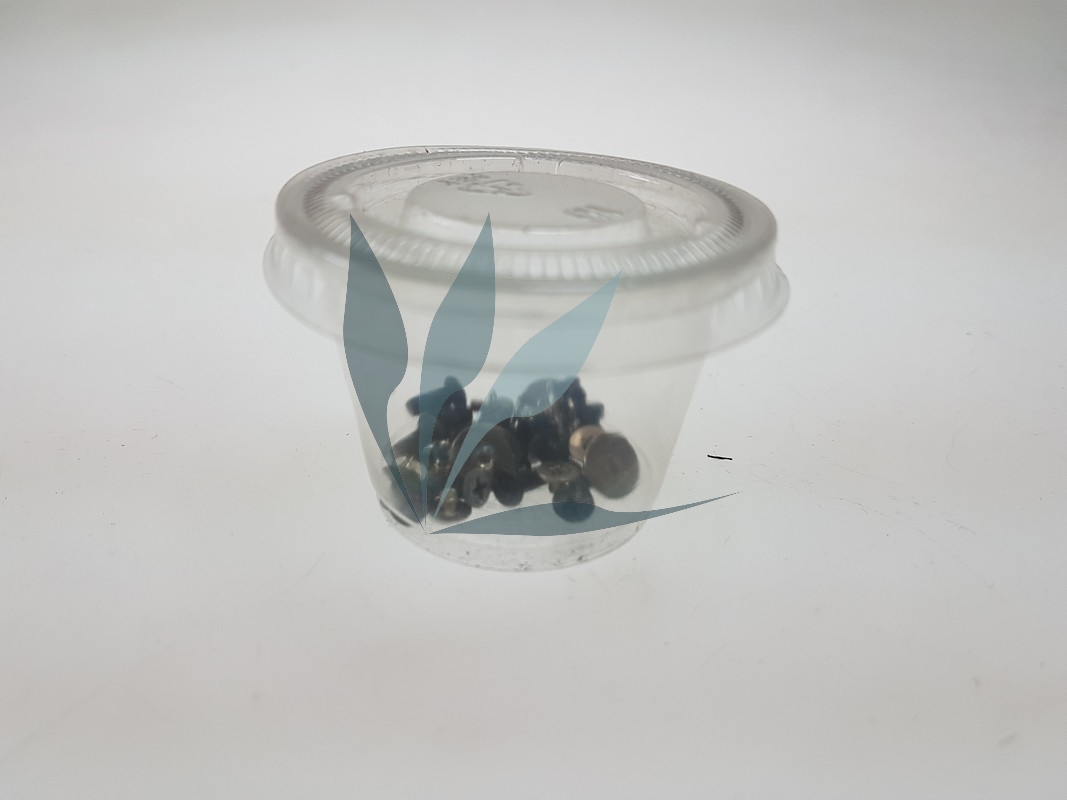 Kit vis pour Toshiba Satellite C50D-B