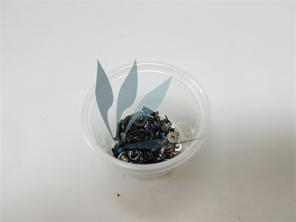 Kit vis pour HP Envy 6-1170sf