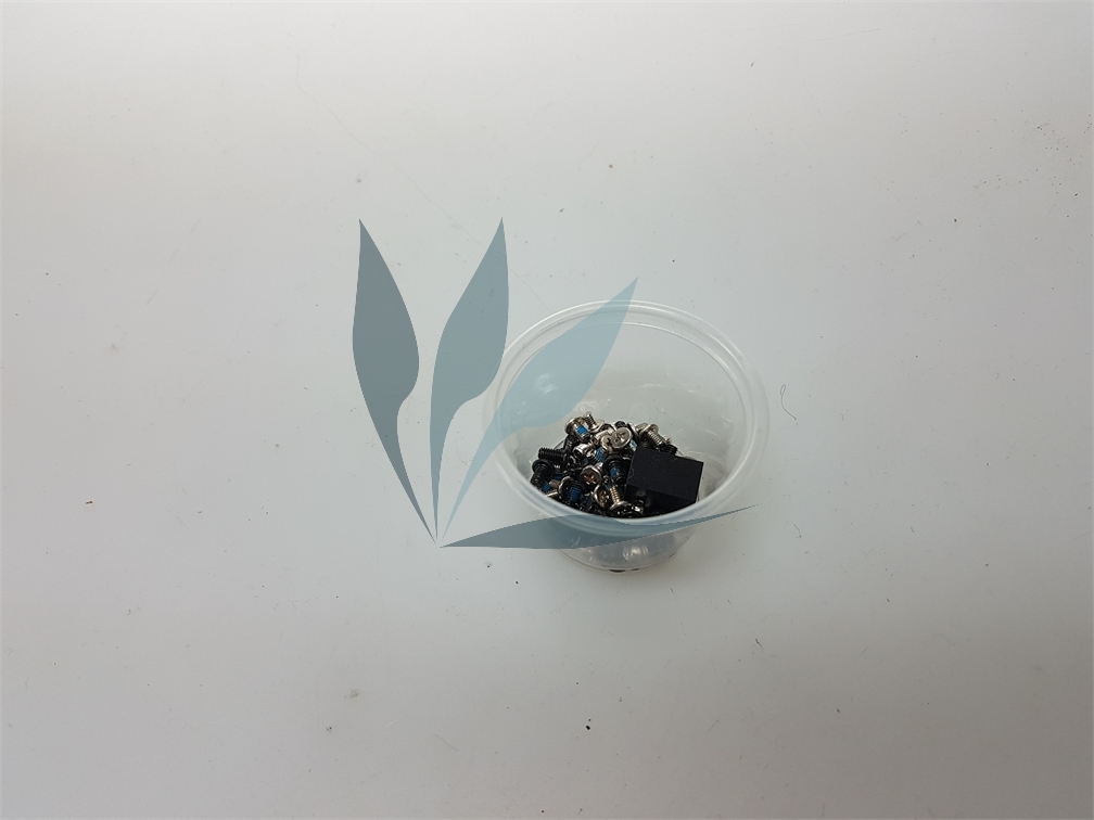 Kit visserie pour MSI GP60-20D