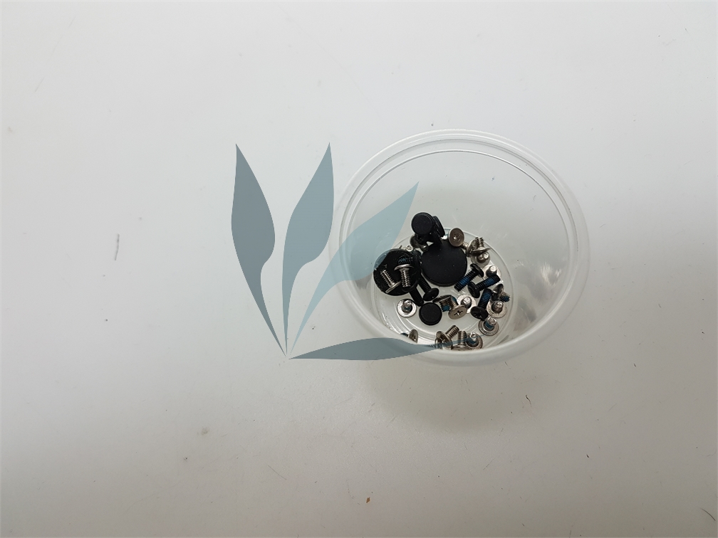 Kit visserie pour ordinateur portable Samsung NC210