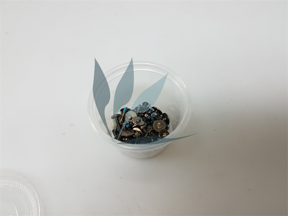 Kit de visserie pour Sony Vaio PCG-51112m