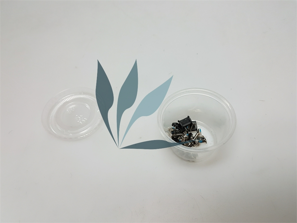 Kit visserie pour Sony Vaio PCG-8113m